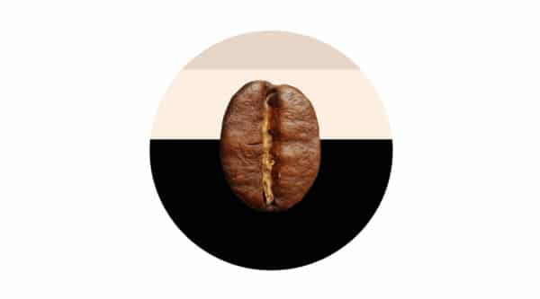 Café Cappuccino
