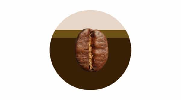 Café Latte